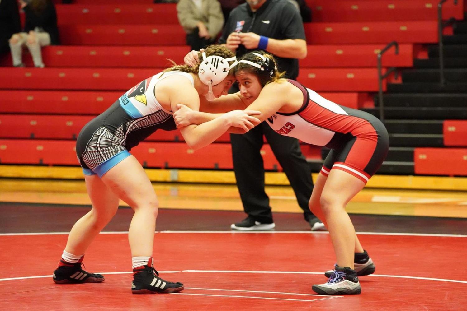 With the addition of women's wrestling, the College now offers 13 women's programs.